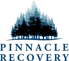Pinnacle Recovery